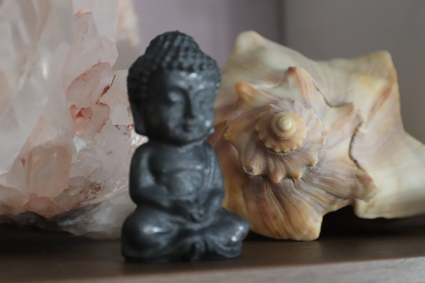 Shungite Buddha Desktop Gemstone